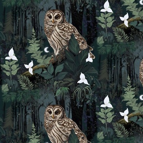 Night owl in the forest floor medium 12"