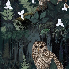 Night owl in the forest floor large 18"
