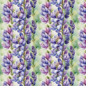 Pretty Purple Lupine Flowers