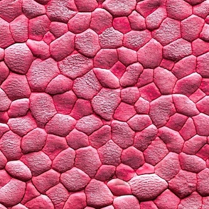 pink rocks pattern ML