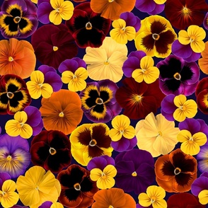 Pretty Pansies Fall Pansies with Navy Background