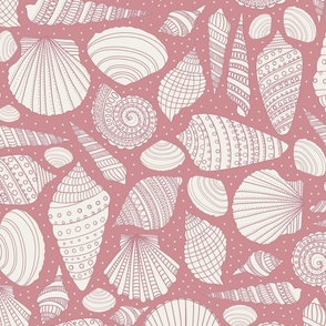 shells found in pink