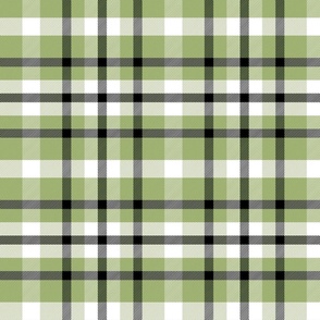 Cute Light Green Plaid