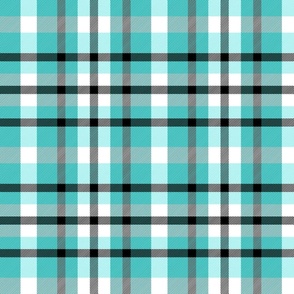 Cute Light Teal Plaid