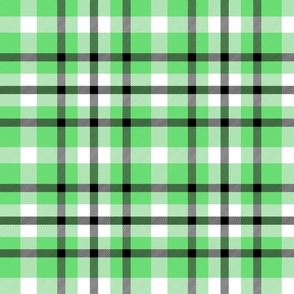 TB.plaid.4_67dd