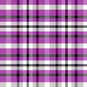 Simple Purple Tartan