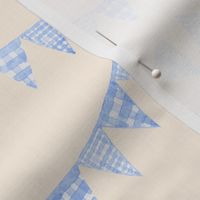 Watercolor, Hand Painted  Blue Gingham Banner on Cream, Boy's  Party, L