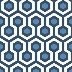 Dusty Blue White Hexagons