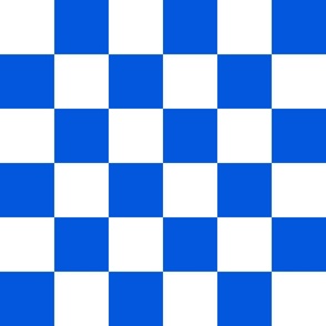 checkerboard_classic blue and white