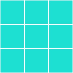 grid lines_6 inch square tiles_aqua and white