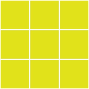 grid lines_6 inch square tiles_lime and white