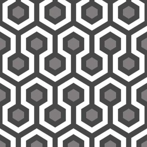 Gray White Hexagons