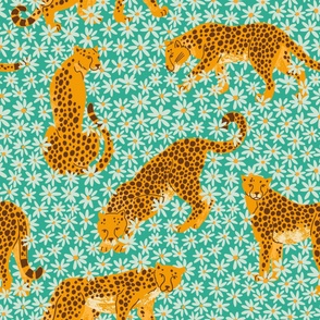 Cheetah in meadow - medium