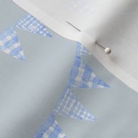 Watercolor, Hand Painted  Blue Gingham Banner on Light Blue, Boy's  Party, L