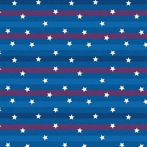 fourth of july – white stars on blue ticking stripes | small