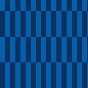 wide vertical block stripes two tone blue | medium