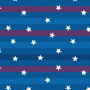 fourth of july – white stars on horizontal ticking stripes | medium