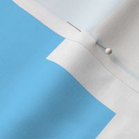 Counterchanged Crosses in Baby Blue and White