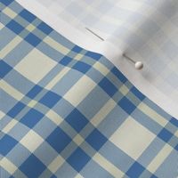 Classic Blue Plaid | Gender Neutral Blue Tartan