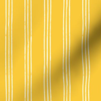 Triple Stripes - sunshine yellow - LAD24