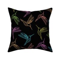Colorful Hummingbirds on a Black Background