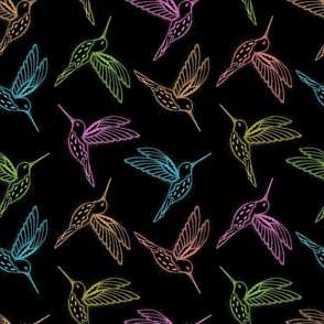 Colorful Hummingbirds on a Black Background