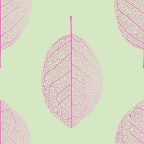(M) Leaf nerves gradient pink and light green - medium