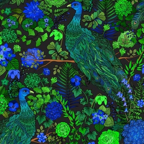 Peacock Garden (Charcoal large scale) 