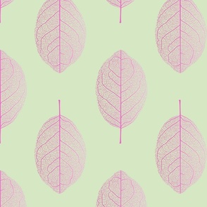 (S) Leaf nerves gradient pink and light green - small