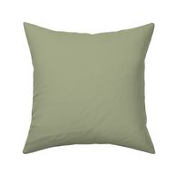 solid light sage green plain coordinating solid color light olive grey green for wallpaper accessories and home decor