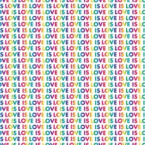 S. LOVE IS LOVE rainbow text on white, small scale