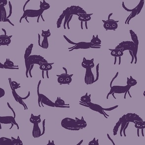 Cats  Purple
