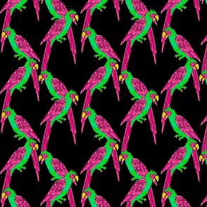 South American Parrot Lattice - neon  on black