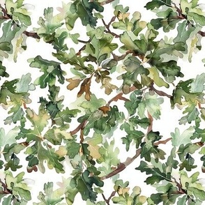 Watercolor Bur Oak From The Hawkeye State