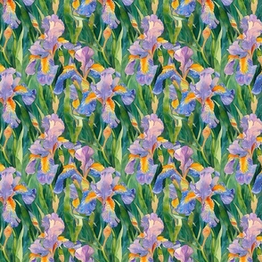 Watercolor of Wildflower Dwarf Lake Iris