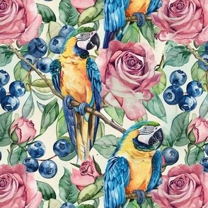 Macaws, Roses and Blueberries, Cute Watercolor
