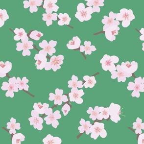 Cherry Blossoms on Green