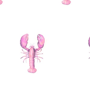 LOBSTER- PINK ON WHITE IMG_3174
