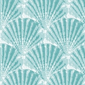 aqua blue_sea shell 