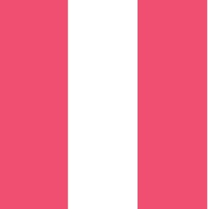 Large - 6" wide Awning Stripes - Hot Pink - White