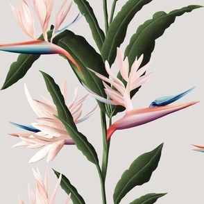 Half Drop Bird of Paradise with Pink Flowers by kedoki on solid background