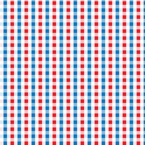 cheerful gingham in american colors | small