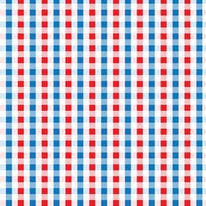 gingham in american colors | medium