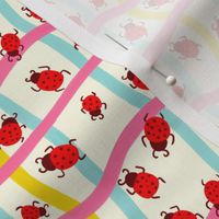 9in pastel colorful wonky stripes with ladybugs