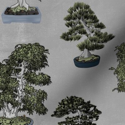 Bonsai on light grey