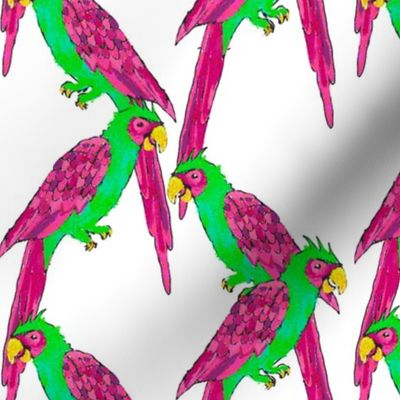 south american parrot lattice  - neon on white background