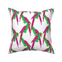 south american parrot lattice  - neon on white background