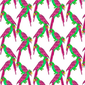 south american parrot lattice  - neon on white background