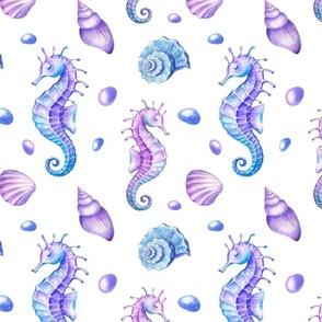 Watercolor seahorses and shells