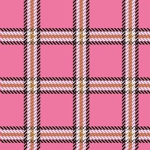 Medium Scale - Cher's Plaid in Pink